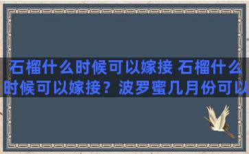 石榴什么时候可以嫁接 石榴什么时候可以嫁接？波罗蜜几月份可以种？丕